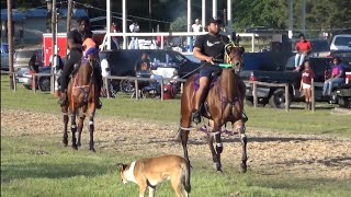 Standardbred Sunday at Gum Springs Race Track [upl. by Yelac]