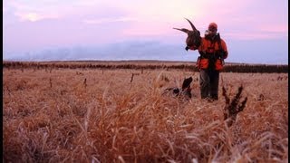 Pheasants Forever A Call to Action [upl. by Lellih]