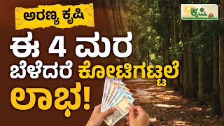 ಈ 4 ಮರ ಬೆಳೆದರೆ ಕೋಟಿಗಟ್ಟಲೆ ಲಾಭ  Forest Farming In Kannada  Vistara Krishi  ಅರಣ್ಯ ಕೃಷಿ  Aranya [upl. by Sherborne]