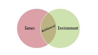 Multifactorial Inheritance [upl. by Nivlek]