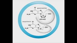 Antiviral animation Acyclovir [upl. by Nylecaj694]