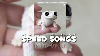 Speed Songs 1 [upl. by Koerner]