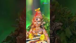 అయ్యప్ప పాటలు  Naarsingi narsing rao Ayyappa Song  Krishna Sai  SVC Recording [upl. by Cha]