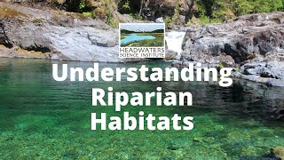 Weekly Science Challenge Understanding Riparian Habitats [upl. by Antony736]