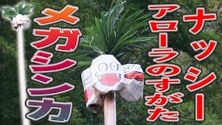 ナッシーアローラのすがた！メガシンカが強すぎた【ポケモン サン・ムーン】 [upl. by Weight498]