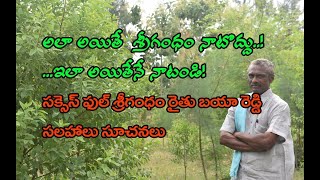 Sandalwood farming guide Sandalwood cultivation శ్రీగంధం సాగు మెల‌కువ‌లు రైతు అనుభ‌వాలు [upl. by Rye]