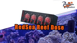 Red Sea Reefer 250 Deluxe  Part V  RedSea ReefDose 4 [upl. by Jabe]