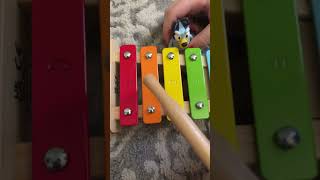 How to play the bluey intro on the Xylophone [upl. by Annawaj]