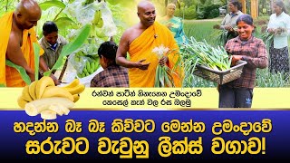 මෙන්න බලාපල්ලා උමංදාවේ හදන්න බෑ කියපු ලීක්ස් [upl. by Notaek]