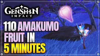 Amakumo Fruit Locations  Fast and Efficient Route  Raiden Ascension Materials 【Genshin Impact】 [upl. by Yrrap]