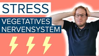 ⚡Stress und vegetatives Nervensystem  Ist das der Grund für deine Beschwerden [upl. by Lawson]