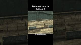 The Raider Mole rat Race Track In fallout3 [upl. by Nickolaus]