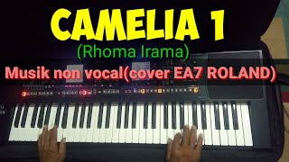 CAMELIA DANGDUT KARAOKE [upl. by Ardnuas266]