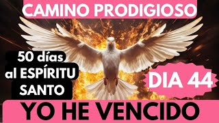 Día 44🙏🔥 CAMINO PRODIGIOSO 50 DÍAS AL ESPÍRITU SantoVIRGEN DE FATIMA ruega por nosotros 🙏 [upl. by Eenehs444]