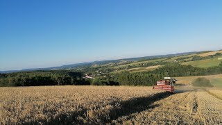 ŻNIWA 2022 W GÓRACH  PSZENŻYTO  MASSEY  URSUS  BELARUS [upl. by Jerrome597]