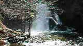 Jenkinson Lake Park Creek Hike to Waterfall [upl. by Aube]