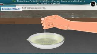 Detection of nitrogen sulphur chlorine bromine and iodine in an organic compound Class 11 Chemistry [upl. by Fusco374]