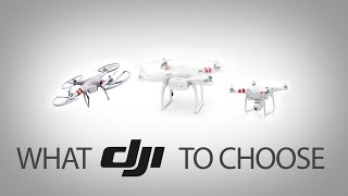 20 DJI Phantom Tutorial  What model to buy Phantom 1 2 or Vision [upl. by Ymaral]