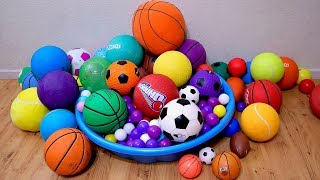 Learn Colors with ALotof Sport Ball for Children and Toddlers [upl. by Alikam602]