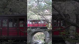 Sir Haydn verlässt Dolgoch [upl. by Yedorb321]