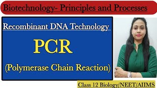 PCR  Polymerase Chain Reaction  Biotechnology  Principles and Processes  Class 12 BiologyNEET [upl. by Nehtiek]