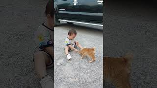 My Son plays with a little kitten at Sampov Mountain Battambang [upl. by Jerroll]