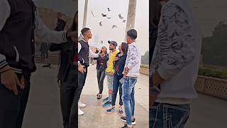 Halke me leri h🔥 shorts short ytshorts ytshort bhaskarthakur reactionvideo [upl. by Eixid]