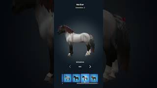 Star Stable Online  The Noriker games mmorpg sso ssoedits horse newbreed noriker [upl. by Gschu]