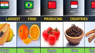 Largest Food Producing Countries 🇨🇳🇮🇳🇺🇲🇮🇱 [upl. by Kostival]