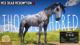 Easiest way to get the Fastest Horse early in chapter 2  Brindle Thoroughbred  RDR2  PS4 Slim [upl. by Okia683]