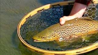 Big Beaverhead Brown on Hoppers [upl. by Britt]