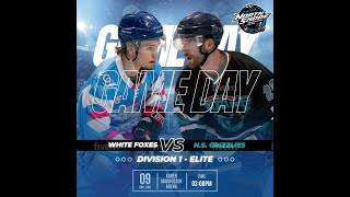 Div 1 Elite  Grizzlies vs White Foxes [upl. by Ladd]