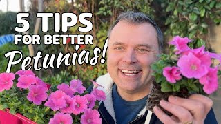 5 Tips for Better Petunias [upl. by Sacrod]