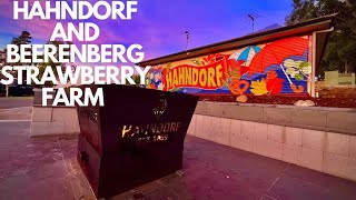 EPISODE 41 HAHNDORF  BEERENBERG STRAWBERRY FARM  DISCOVERY PARKS  AUTUMN [upl. by Aziaf281]