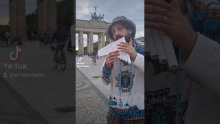 Tokio Hotel Monsoon on the Pan Flute tokiohotel monsoon fyp [upl. by Anerehs]