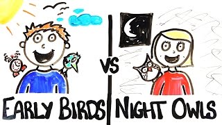 Early Birds vs Night Owls [upl. by Idmann557]