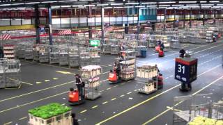 Topdrukte FloraHolland Aalsmeer  Rush hour Flower auction [upl. by Strage]