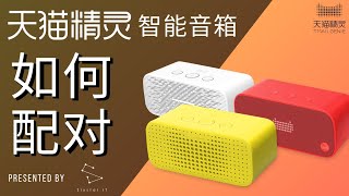 新手如何配对天猫精灵智能扬声器 HOW TO SETUP Tmall Genie AI Speaker Tmall Genie  Tmall Genie R  Tmall Genie IN [upl. by Gnak193]