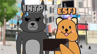 「MBTI 조합」 집사와 고양이ESFJ x INTP [upl. by Tristram689]