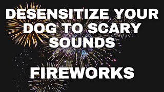 Dog Desensitization Sounds for Dogs amp Puppies Fireworks [upl. by Letha]