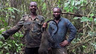 Histoire dune chasse  Cameroun [upl. by Clerc943]