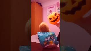 мем automobile nintendo hotwheels funny halloween [upl. by Firestone]