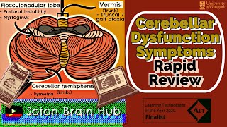 Cerebellar Dysfunction Symptoms Rapid Review [upl. by Nogas]