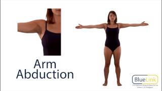 Arm Abduction Adduction [upl. by Willem]