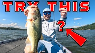 Offshore Fishing For Summer Bass Ledge Fishing Tricks  Open Water Fishing [upl. by Milford872]