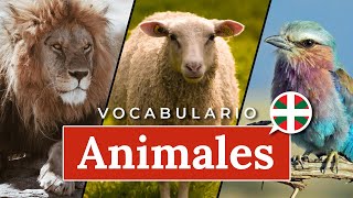 Aprender euskera  Primeras palabras ANIMALES [upl. by Ceil]