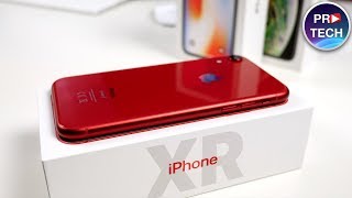 Полный обзор iPhone XR Все что надо знать [upl. by Ulland491]