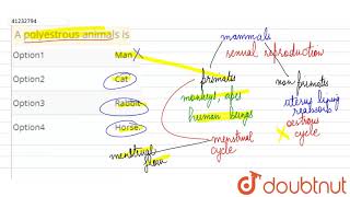 A polyestrous animals is  12  REPRODUCTIVE IN ORGANISMS  BIOLOGY  A2Z  Doubtnut [upl. by Akeihsat]