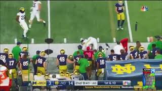 Devin Bush Michigan LB vs Notre Dame 2018 [upl. by Anilra694]