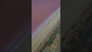 quotStunning Drone Shots Captivating Bonaires Salt Pier Flamingos amp Captain Dons Paradisequot [upl. by Ala]